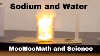 Sodium in water explosion Chemical Reaction [upl. by Besnard35]