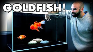 MAKING a FANCY GOLDFISH AQUARIUM Ranchu amp Oranda  MD Fish Tanks [upl. by Ikceb]