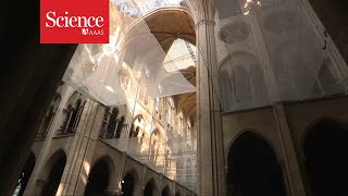 A look inside the restoration of Notre Dame cathedral [upl. by Heng]