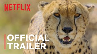 Animal  Official Trailer  Netflix [upl. by Domini496]