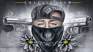 Cosculluela  La Nueve y La Fory Audio Oficial [upl. by Namron]