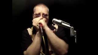 Big Boss Man  blues harmonica [upl. by Setiram]