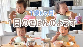 【1歳6ヶ月女の子の1日のごはん】1歳半は何食べる？どうやって食べてる？朝・昼・おやつ・夜のごはんの様子を公開！メニュー紹介も✳︎ [upl. by Traver]