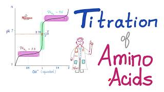 Titration of Amino Acids  pH pKa1 and pKa2  Isoelectric Point Amino Acids Part 4 [upl. by Eloc]