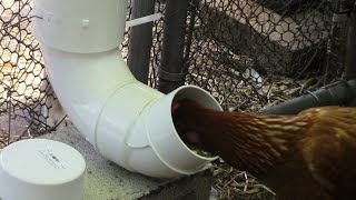 DIY Rodent Proof Chicken Feeders [upl. by Kone]