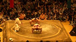 Sumo Wrestling 2014 05 21 Tokyo Japan [upl. by Nallaf344]