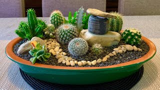 Cacti and Succulents Arrangement [upl. by Ave]