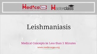 Leishmaniasis [upl. by Beyer]