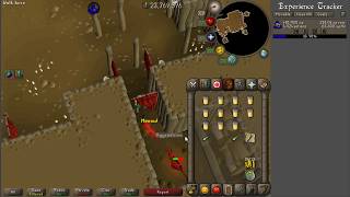 OSRS  HellRat Behemoths 60 kills  Hour  high alchemy [upl. by Ariaes12]