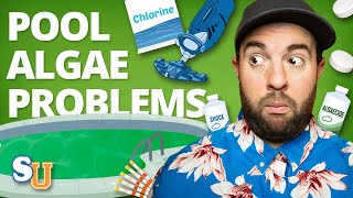 How to Stop ALGAE in Your POOL From Returning  Swim University [upl. by Certie473]