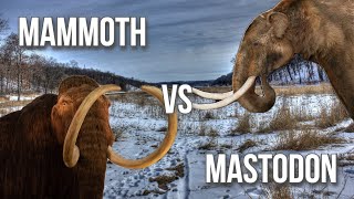 Mammoth v Mastodon [upl. by Tildie166]