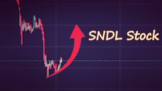 SNDL Stock News Today and Its Price [upl. by Elleinod]