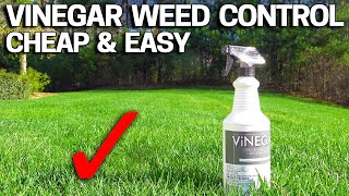 Vinegar Weed Killer  Works in 24 Hours [upl. by Assylla]