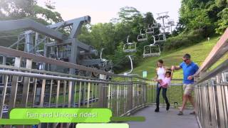 Experience Skyline Luge Singapore [upl. by Kahl]