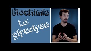 Cours de biochimie Glycolyse [upl. by Vareck]