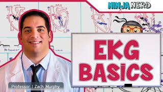 Cardiovascular  EKG Basics [upl. by Zhang]