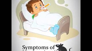 LEPTOSPIROSIS  Signs and Symptoms of Leptospirosis [upl. by Anazraf561]