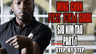 WING CHUN FIRST FORM GUIDE Siu Nim Tao part 1 [upl. by Athiste221]