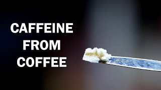 Extracting caffeine from coffee [upl. by Annahsad596]