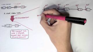 Immunology  Antibody Somatic VDJ Recombination II [upl. by Archaimbaud]