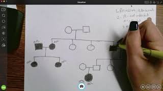 Genotypes and pedigrees [upl. by Ennylhsa]