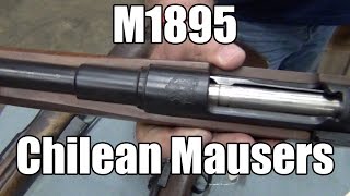 M1895 Chilean Mausers by DWM  Various Grades For Sale [upl. by Schach]