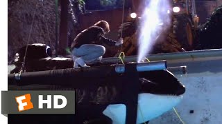 Free Willy 1993  Harnessing Willy Scene 810  Movieclips [upl. by Asta]