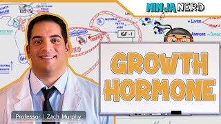 Endocrinology  Growth Hormone [upl. by Cory549]