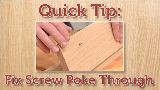 Quick Tip Fix a Protruding Screw [upl. by Eidak]