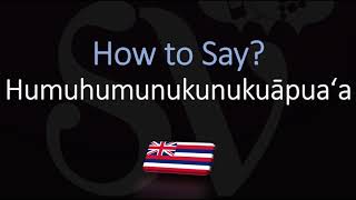 How to Pronounce Humuhumunukunukuāpuaʻa Hawaiian State Fish [upl. by Yorick504]