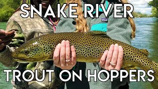 Epic Snake River Hopper Fishing [upl. by Godden38]