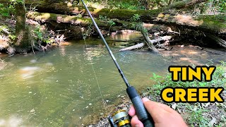 Simplified Creek Ultralight Fishing [upl. by Kizzee]