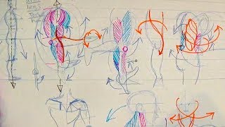 How to Draw Human Anatomy Part 1  Beginner Introduction [upl. by Aninnaig]