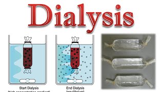 Protein purification  protein dialysis [upl. by Eisoj]