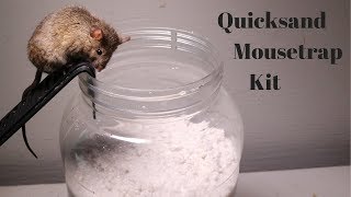 Testing Out The Quicksand Mouse Trap Kit Sold On Amazon [upl. by Neva]