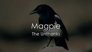 Magpie  The Unthanks  LYRICS [upl. by Tuttle924]