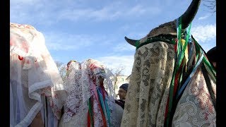 IL CARNEVALE DI BASILICATA [upl. by Younger992]