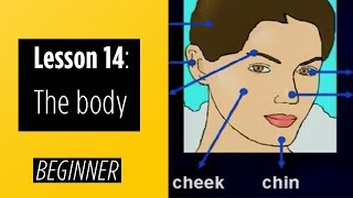 Beginner Levels  Lesson 14 The Body [upl. by Elder7]