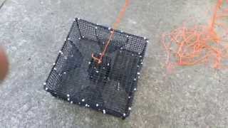 Prepare a shrimpprawn trap for salt water fishing [upl. by Ijuy]