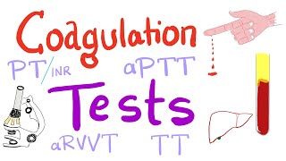 Coagulation Tests  PT aPTT TT Fibrinogen Mixing Studies [upl. by Annerahs]