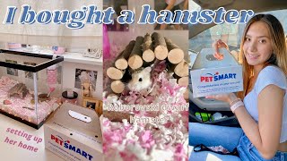 I BOUGHT A HAMSTER cage setup amp hamster haul [upl. by Sirovart]