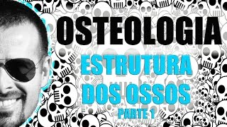 Sistema Esquelético  Estrutura dos ossos longos Parte 12  Anatomia Humana  VídeoAula 006 [upl. by Ettenyar]