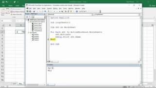 Excel VBA Immediate Window  5 Ways to Use it [upl. by Herodias378]