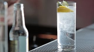 How to Make the Gin amp Tonic  Liquorcom [upl. by Nowahs]