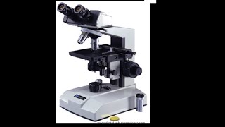 Micro Lab 3 Introduction to Compound Light Microscopy [upl. by Anelrahc]