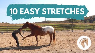 HOW TO STRETCH A HORSE 10 Easy Horse Stretches [upl. by Aan]