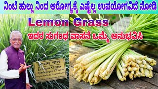 ನಿಂಬೆ ಹುಲ್ಲು Lemon Grass ನಿಂದ ಎಷ್ಟೆಲ್ಲ ಔಷಧಿ ಉಪಯೋಗವಿದೆ ನೋಡಿ Citronella grass नींबूघास Herbal plant [upl. by Saibot]