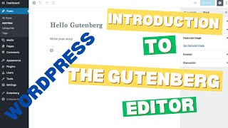 Introduction to the Gutenberg Editor [upl. by Wershba]