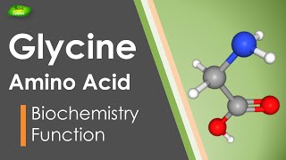 Amino acid Glycine  Proteins  Sweet amino acid  extraterrestrial  Basic Science Series [upl. by Adel990]