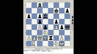 Keres Paul vs Reshevsky Samuel Herman  AVRO Chess 1938 Netherlands [upl. by Hpsoj]